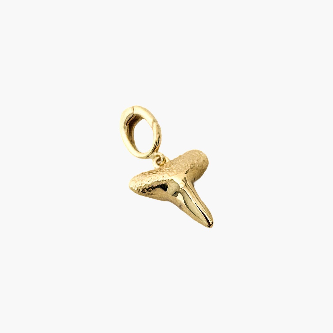 Shark Tooth Charm- Small