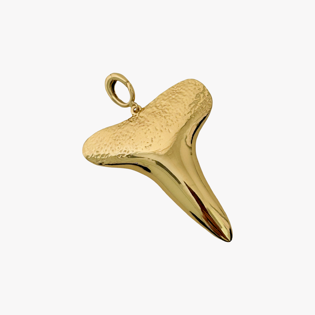 Shark Tooth Charm- Extra Large
