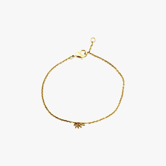 Palm Friendship Bracelets