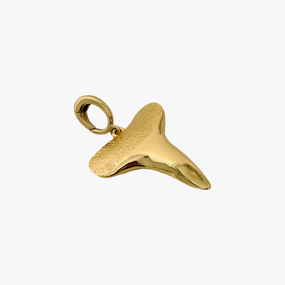 Shark Tooth Charm- Medium