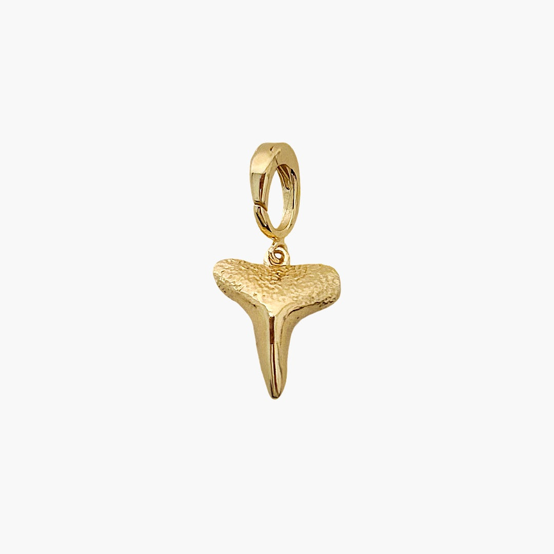 Shark Tooth Charm- Small